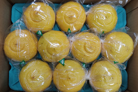 春の味　贈答用　はるか　１0玉