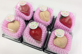 ひと粒の幸せ‼大粒紅白『古都華＆天使のいちご』特別栽培農産物　6個入1箱