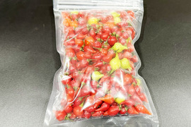 【冷凍唐辛子】スカッと爽快！ビキーニョ（総量200g）農薬・化学肥料不使用（スウィーティードロップス）