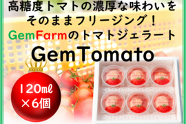 「高糖度トマトの濃厚な味わい」をそのままフリージング！トマトジェラート『GemTomato』（6個入り）【熨斗対応可】