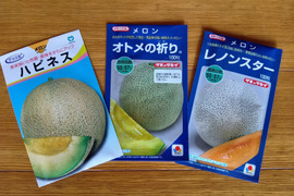 品種おまかせ！メロン２玉セット