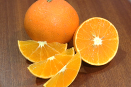 【アワード受賞】2/28より順次発送 数量限定 訳あり『天草』1.5kg サイズ混合 仲屋 海瀬農園