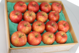 【12月発送】栄養たっぷり！葉取らずサンふじ（ギフト用5kg・14~20玉）【冬ギフト】