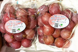 完熟つぶつぶクイーンニーナ500g入り×2袋（1000g）※信州の環境にやさしい農産物50％節減（長野県認証）