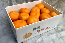 【貯蔵熟成】甘い静岡県産　青島みかん2.5㎏　静岡県より産地直送