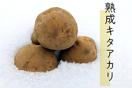 【1月中旬予約】訳アリ氷温熟成じゃがいも　キタアカリ　10㎏