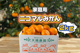 🍊家庭用🍊愛媛県明浜産　温州みかん　2ｋｇ