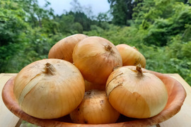 【未来をつくる笑み野菜】美味しい玉ねぎ🧅化学農薬・化学肥料不使用 3kg