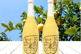 レモン果汁 ストレート 100% 国産レモン使用 720ml×2本 無添加 防腐剤不使用