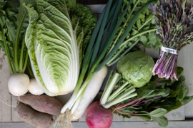 京の旬野菜セット--9種--【漢方栽培】