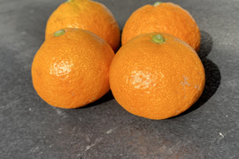 訳あり　有田みかん【5kg(箱込み)】