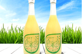 農薬不使用 レモン果汁 国産 720ml×2本 ストレート 100% 防腐剤不使用