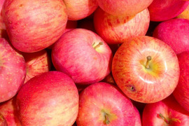 サンふじ　訳あり家庭用（約4.5㎏）10～25玉
甘さ･酸味･食感の三拍子が揃ったりんご　
形やキズなどで贈答用になれなかったりんごたち
バラ詰めでお届け　信州長野県産