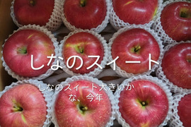 収穫真っ最中！「爽やかな甘味のしなのスイート約5kg」果汁が多く甘味が強く酸味が優しい品種です。