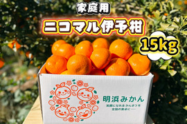🍊香り推し🍊伊予柑　家庭用 15kg