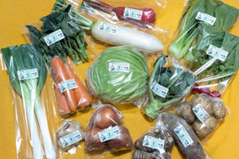 【有機JAS】冬野菜セット（13～15品目）【信州産】