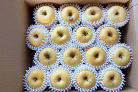 【岩手・紫波町】希少品種🍏特別栽培「はるか」（ご家庭用・5kg）