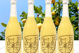 レモン果汁 ストレート 100% 国産レモン使用 720ml×4本 無添加 防腐剤不使用