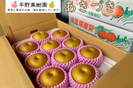 昨年大好評！『清流球磨梨』あきづき　約5kg(5〜14個入り)