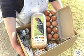 濃厚！希少品種『ネラ』の黒鶏（くろどり）の卵（50個入）