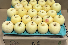 【小玉】「有袋!金星!! 」家庭用約4.5Kg　青森県産 数量限定　金星　きんせい　りんご