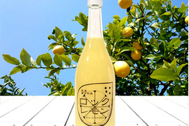 レモン果汁 ストレート 100% 国産レモン使用 720ml×1本 無添加 防腐剤不使用 ロックレモン