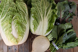 【食べ比べ】京の冬野菜セット2026.【漢方栽培】