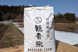 青森/特別栽培米【観音米～KANNONMAI～】５kg つがるロマン