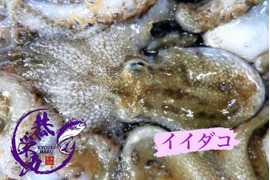 秋田県産　急速冷凍‼️ イイダコBOX