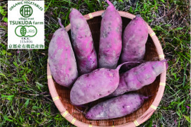‼️まとめ買いはお買得‼️【有機JAS認証 紅はるか5kg】サツマイモ好きが選ぶのはこの品種❣️ねっとりとした食感！極甘！10月に収穫し追熟完了！京都大原の棚田から今がまさに食べごろのサツマイモ！