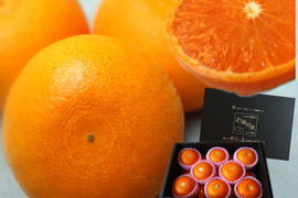 大感動！樹上じっくり完熟させた甘～い大トロせとか！とろける甘さと上品な味わい！本物の美味しさ！当園オリジナル有機肥料で高糖度果実生産を実現！「木熟せとか」厳選プレミアム　約２．８ｋｇ【402】