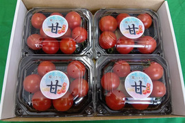 夏の霧のトマト　200g×4パック