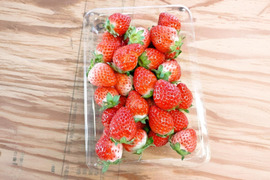 いちご「夏のしずく」 レギュラーパック 1kg （250g×4p）青森県産