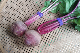 葉っぱ付き！真っ赤なビーツ【飯山市産1.5kg】畑の血液と呼ばれる健康野菜！