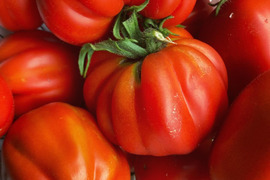 完熟とまと 新井園の完熟トマト（C品） | 野菜/トマト 産直アウル 農家から