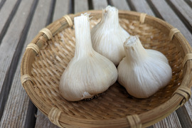 【農薬化学肥料不使用・自然乾燥】にんにく（1kg）