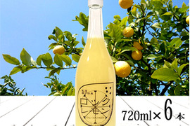 レモン果汁 ストレート 100% 国産レモン使用 720ml×6本 無添加 防腐剤不使用