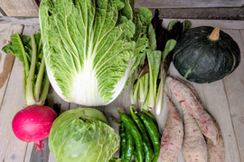 今採れるお野菜セット【漢方栽培】