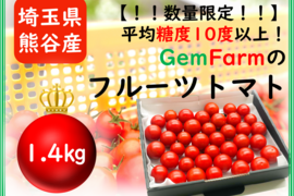 【数量限定】平均糖度10度以上！珠玉のフルーツトマト（1.4kg）