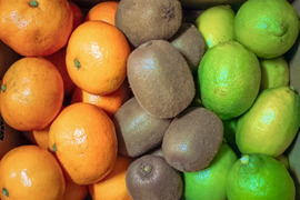 【食べ比べ】旬のフルーツセット 3kg（黄色レモン1kg・旬の柑橘1kg・キウイフルーツ1kg）【初回限定BOX】お得なセット※写真はイメージです
