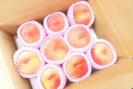 あかつき　2kg　ご家庭用　山形県産　9〜15玉入