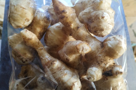 【お試し1kg】ヘルシーな健康野菜！雪や寒さにあたり甘み増しマシのキクイモ【なべくら高原産・世界三大健康野菜】