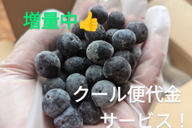 【クール代サービスです！】冷凍ブルーベリー1kg
