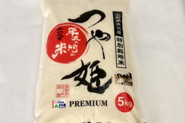 令和5年産　特別栽培米つや姫　精白米　5kg