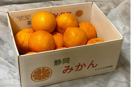 甘くて爽やかな「不知火」（デコ）約２㎏（箱込）（M～L、8～12玉）静岡県から産地直送