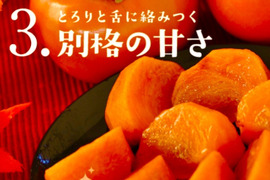 【熟して収穫！】贈答用　長生き次郎柿『長寿郎』12〜16玉入り　鮮度保持フィルム個包装タイプ