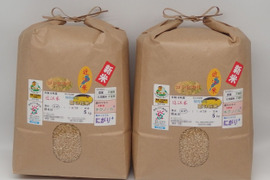 令和6年新米✣農薬化学肥料不使用✣近江米コシヒカリ✣玄米で食べてニッコリ菜の花米✣玄米10kg