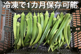 飯島農園の大長五角オクラ ビッグフィンガー 500g