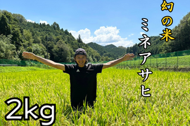 農家直送　特別栽培米 新米２０２５『ミネアサヒ』 令和７年産 ２キロ