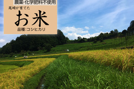 ◆令和7年◆農薬化学肥料不使用◆白米粒が光る最高級棚田米 滋賀県大津産 白米2kg